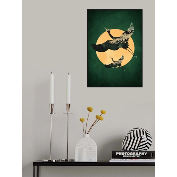 Emerald Sun Aamp Cranes MultiColor 50x70 cm