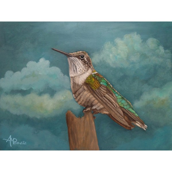 Moonlighting Hummingbird MultiColor 30x40 cm