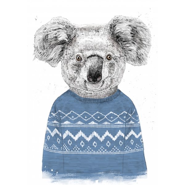 Winter Koala (Blue) MultiColor 50x70 cm