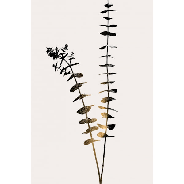 Eucalyptus Dark Gold MultiColor 30x40 cm
