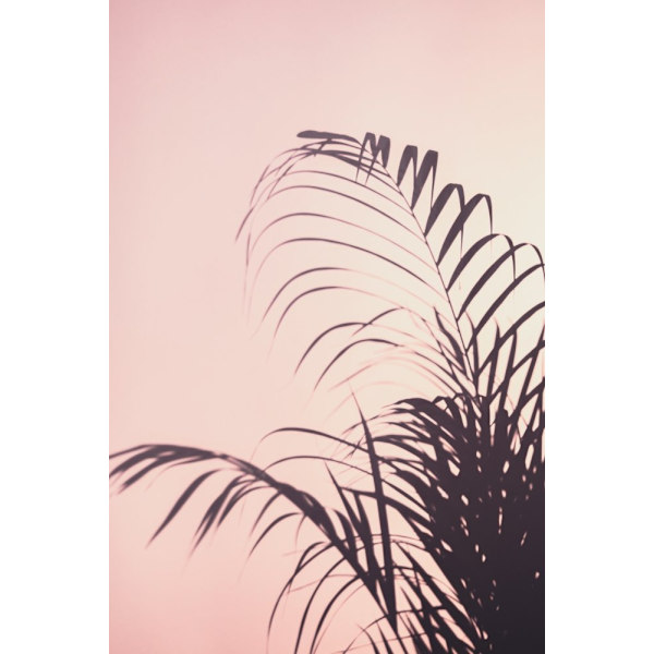Palm Leaves_1 MultiColor 21x30 cm