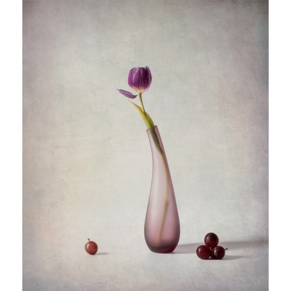 Tulip And Grapes MultiColor 70x100 cm