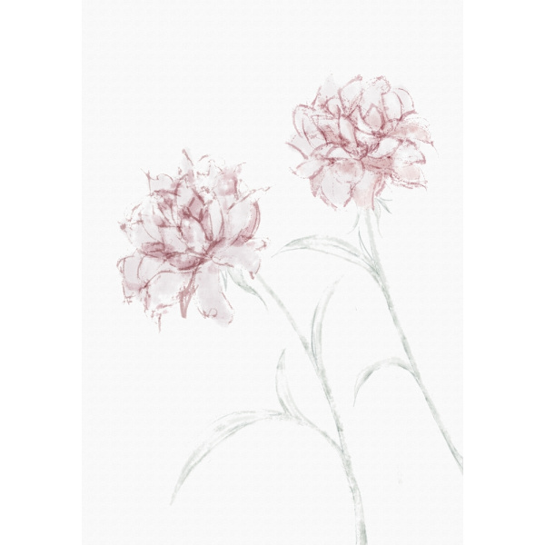 Peony 03 MultiColor 70x100 cm