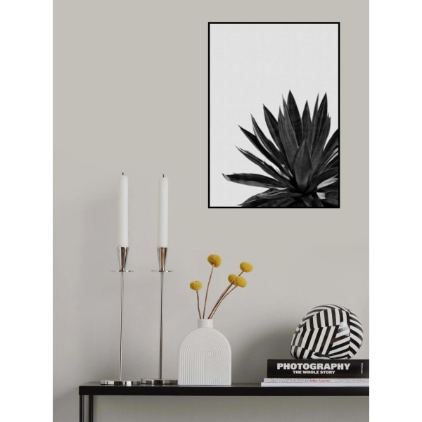 Agave Cactus Black A White MultiColor 50x70 cm