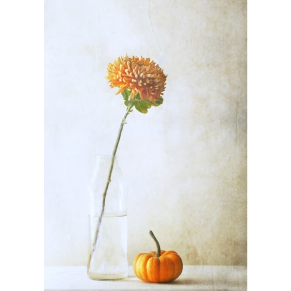 Autumn Flower MultiColor 21x30 cm