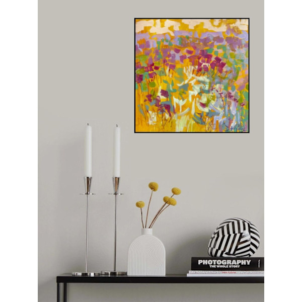 Df006sundance Ii MultiColor 50x70 cm