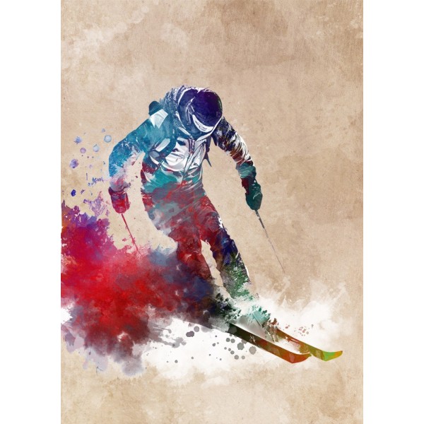 Ski Sport Art 3 Multicolor