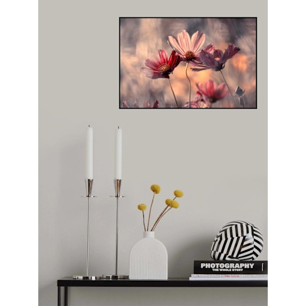 The Three Sisters MultiColor 50x70 cm