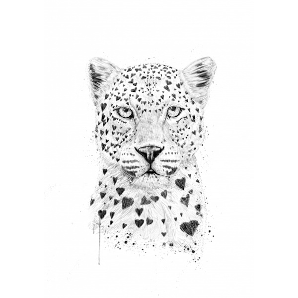 Lovely Leopard MultiColor 21x30 cm