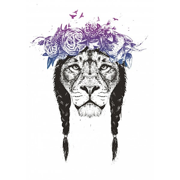 King Of Lions MultiColor 21x30 cm