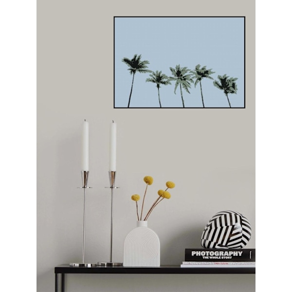 Palms Blue MultiColor 30x40 cm