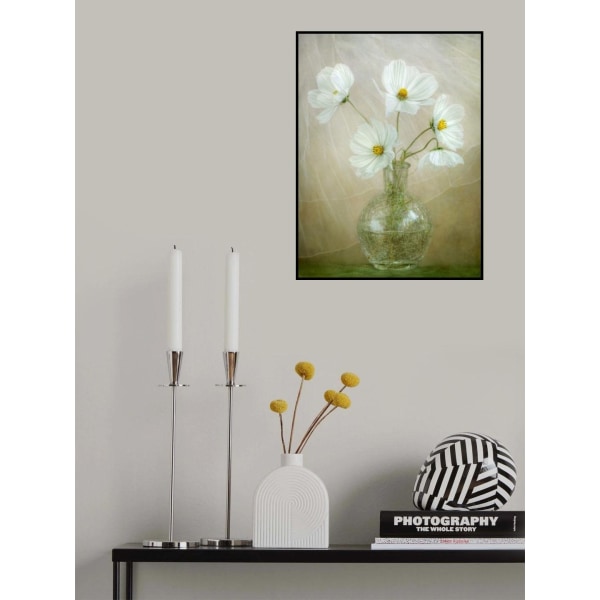 Cosmos Breeze MultiColor 70x100 cm