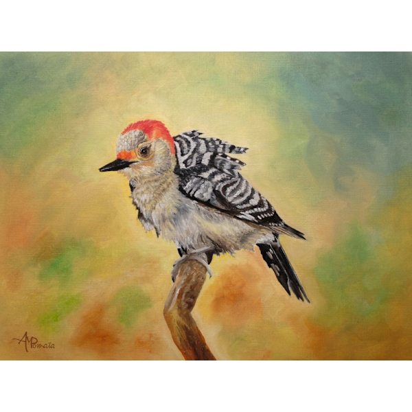 Pretty Woodpecker MultiColor 30x40 cm