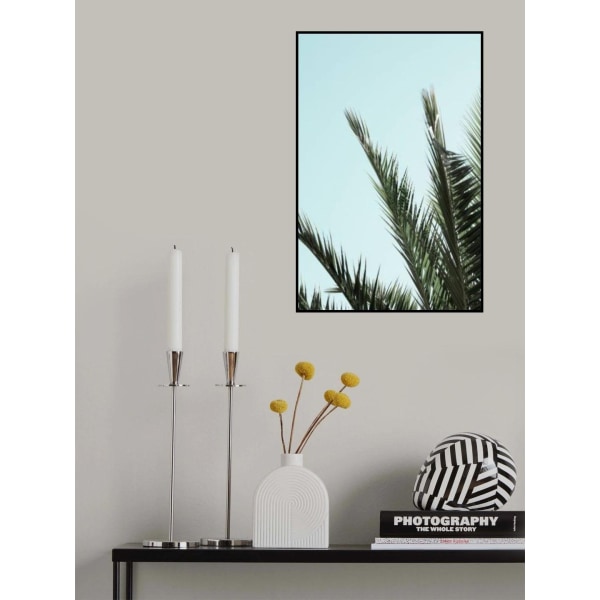 Palmunlehtiä ja taivas_2 MultiColor 70x100 cm