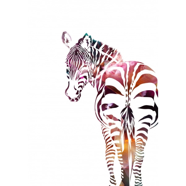 Zebra Silhouette MultiColor 30x40 cm