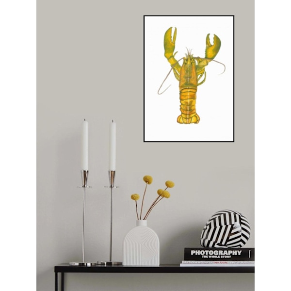 Lobster MultiColor 70x100 cm