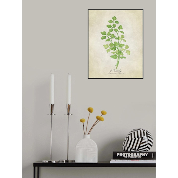 Persilja Vintage MultiColor 50x70 cm