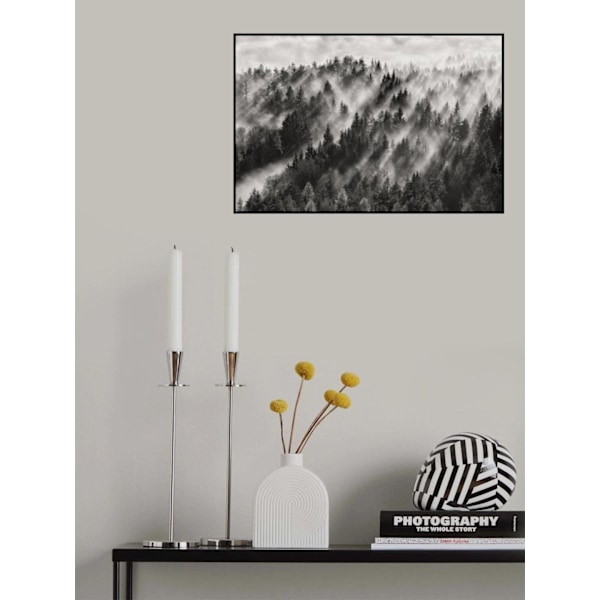Sundance No.1 MultiColor 50x70 cm