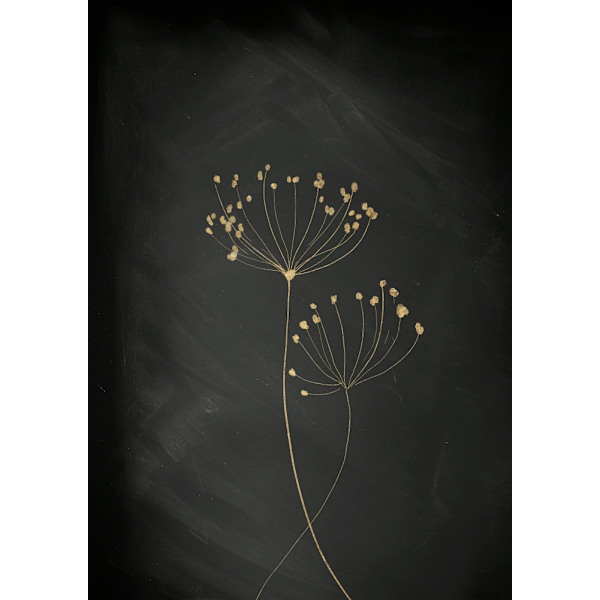 Black Gold Botanical No 2 MultiColor 70x100 cm