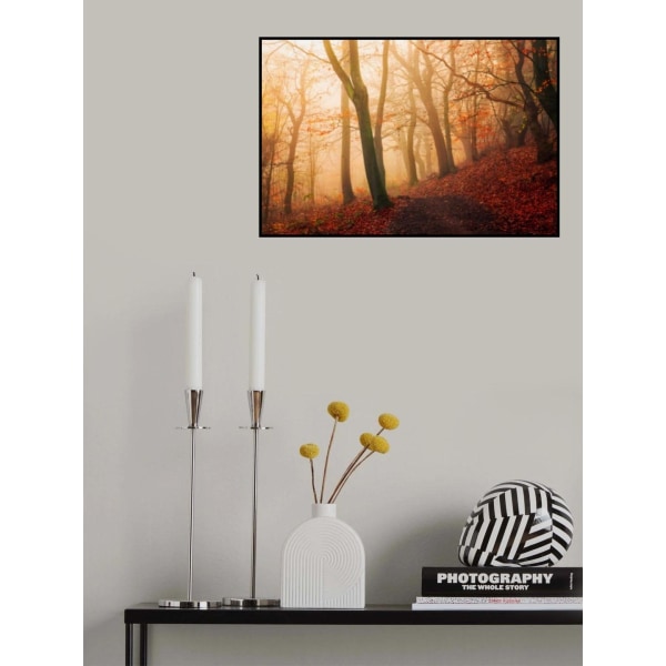 Wake Up Forest. MultiColor 70x100 cm