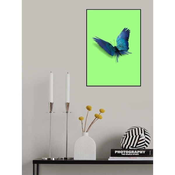 Parrot Butterfly MultiColor 21x30 cm