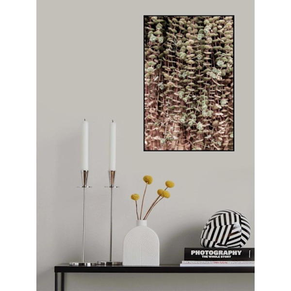 Hanging Garden MultiColor 21x30 cm