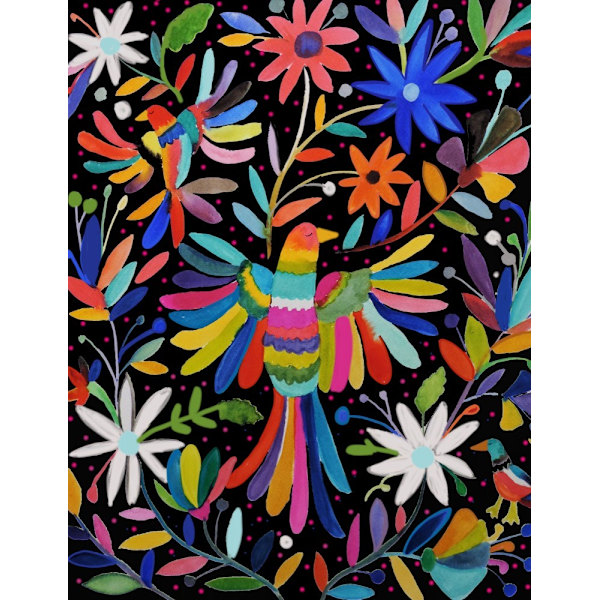 Pajaros MultiColor 70x100 cm