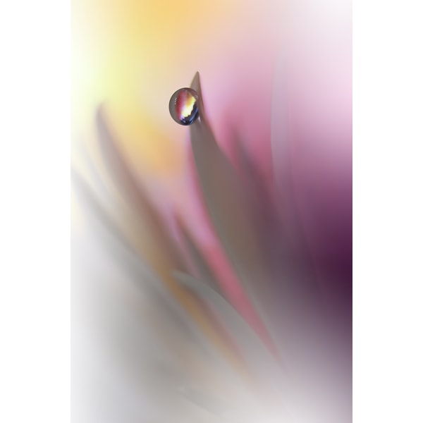 Abstract Illusion.. MultiColor 50x70 cm
