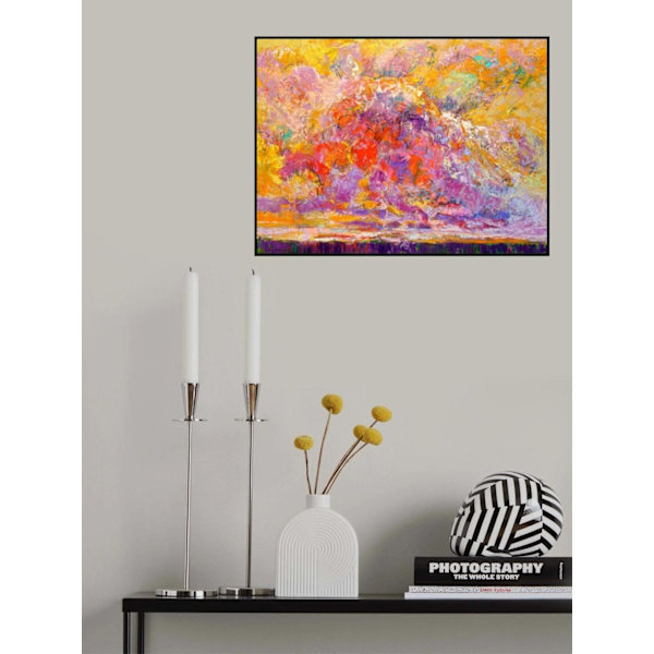 Splendid MultiColor 30x40 cm