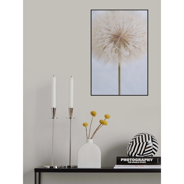 Delicate Dandelion MultiColor 30x40 cm