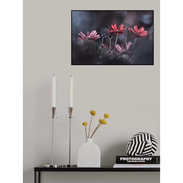 Les Fleurs Du Bien MultiColor 50x70 cm