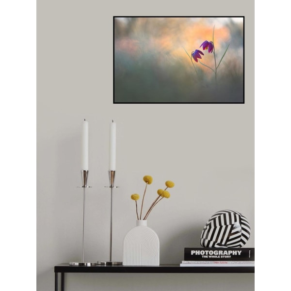 Kevät Danse MultiColor 70x100 cm