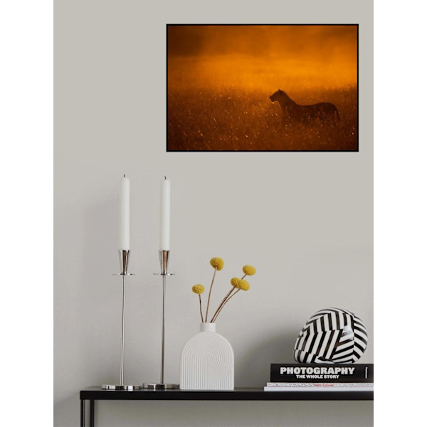 Gold Dust MultiColor 21x30 cm