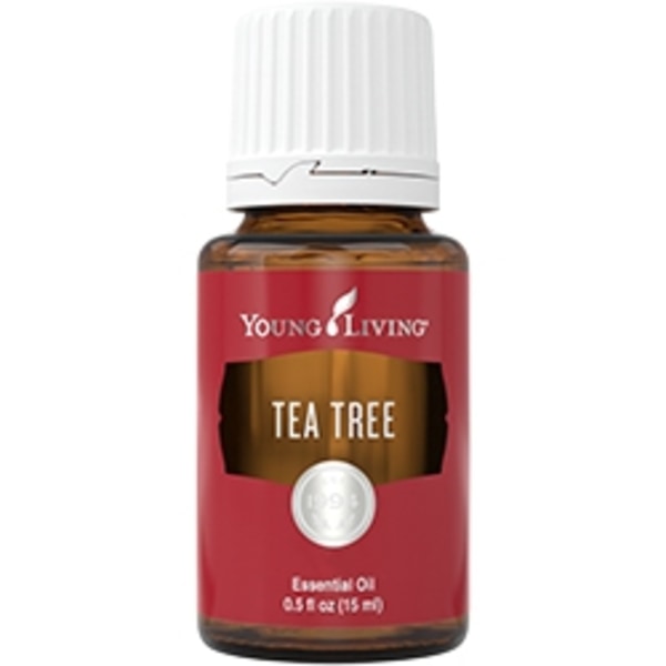 Melaleuca alternifolia ( Tea tree-olja) - Eterisk olja