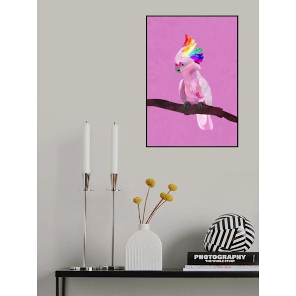 Pride Galah MultiColor 30x40 cm