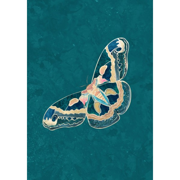 Turkoosi Gold Moth Butterfly MultiColor 21x30 cm