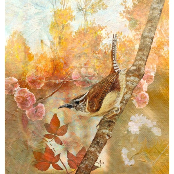 Sweet Autumn Carolina Wren MultiColor 30x40 cm