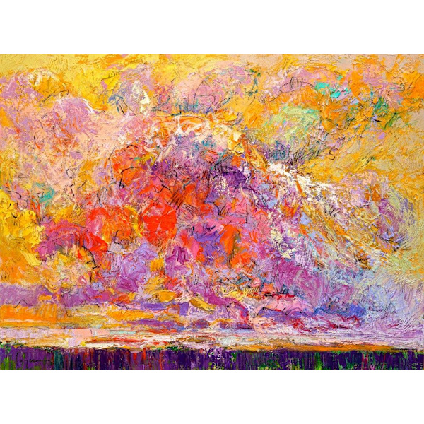 Splendid MultiColor 70x100 cm
