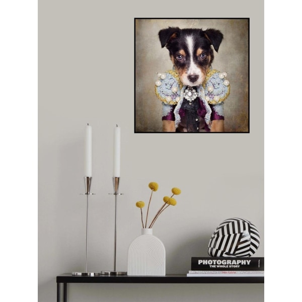 Shelter Pets Project - Loki MultiColor 50x70 cm