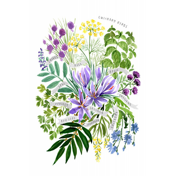 Culinary Herbs MultiColor 70x100 cm