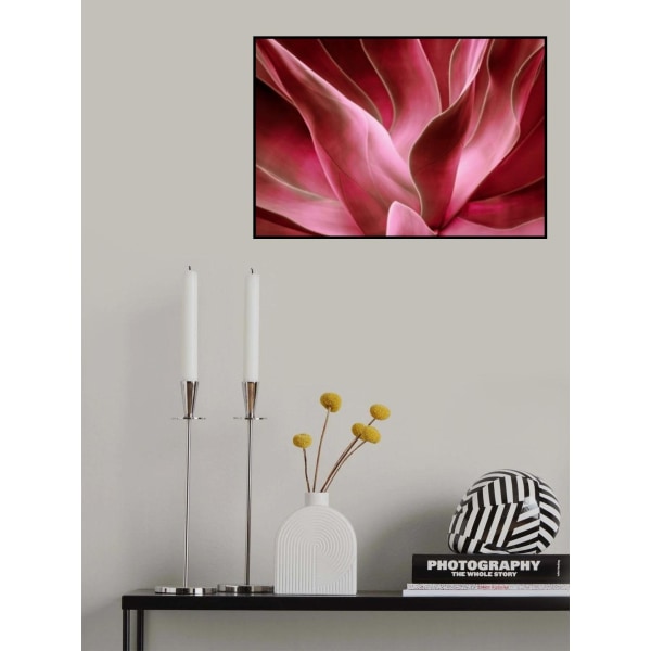 Agave Abstract In Autumn 2023 MultiColor 21x30 cm