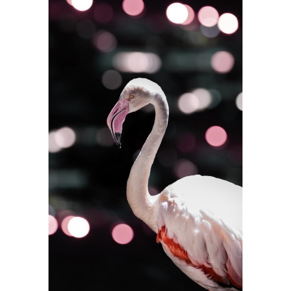 Disco Flamingo MultiColor 70x100 cm