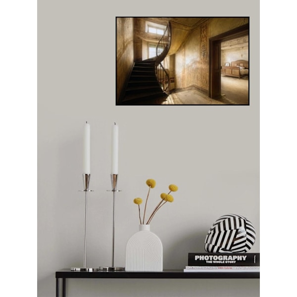 Poster MultiColor 70x100 cm
