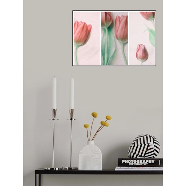 Red Elegance MultiColor 70x100 cm