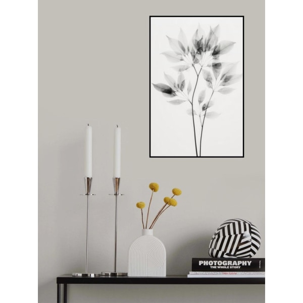 Läpinäkyvä Botanic No 8 MultiColor 30x40 cm
