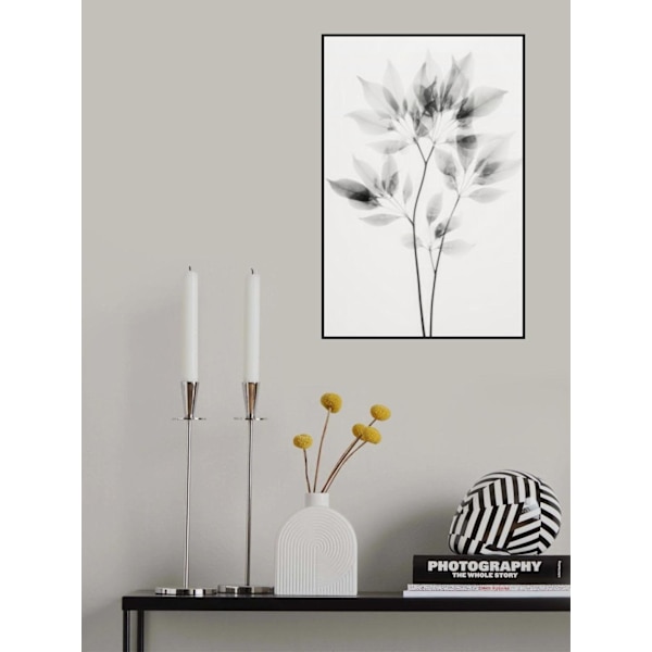 Transparent Botanic No 8 MultiColor 30x40 cm