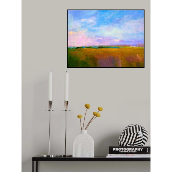 Df1312silverliningii MultiColor 50x70 cm