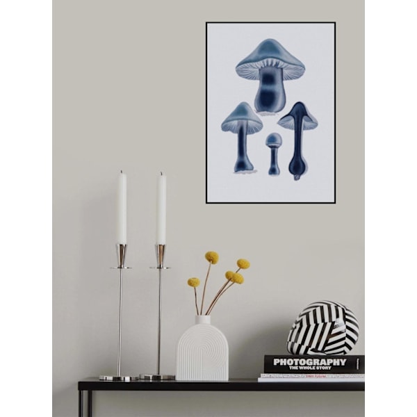 Agaricus Bulbosus - Blue MultiColor 30x40 cm