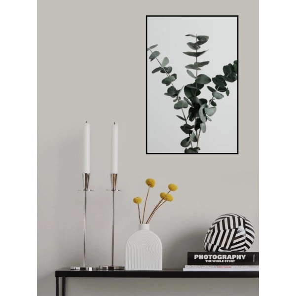 Eukalyptus Natural 01 MultiColor 70x100 cm