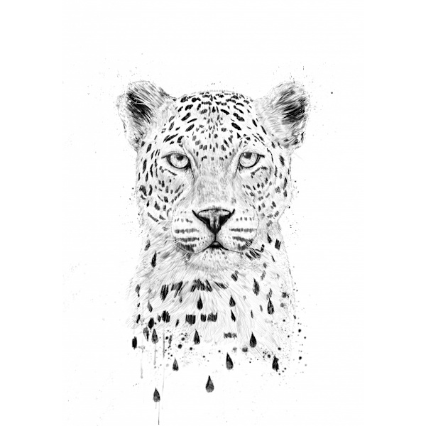 Sadetta taas MultiColor 70x100 cm